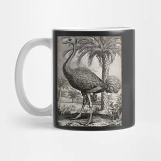 An Ostrich, Unknown Mug